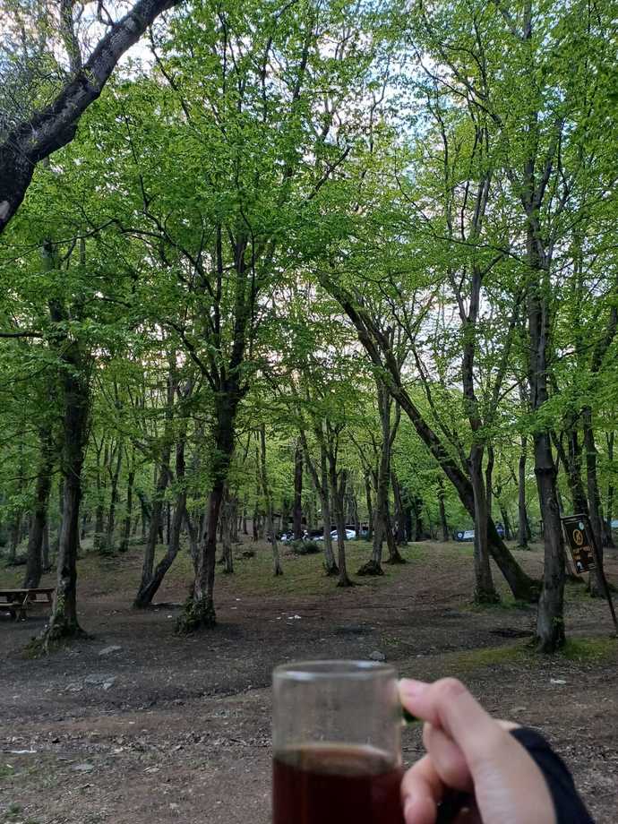 Bugün ruh halin pozitif mi yoksa negatif mi?