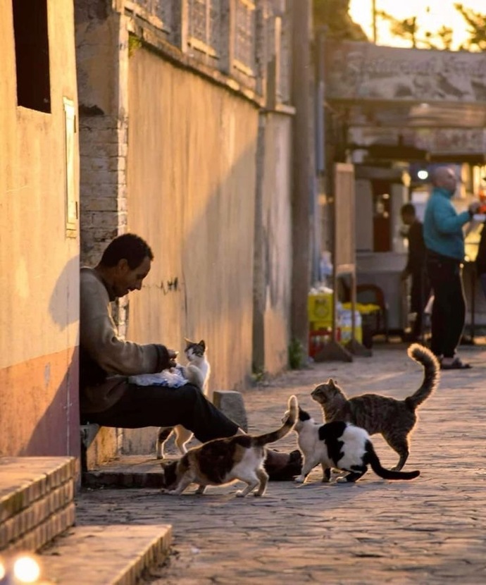 Evcil hayvanınız var mı? Varsa ismi ne 🐈?