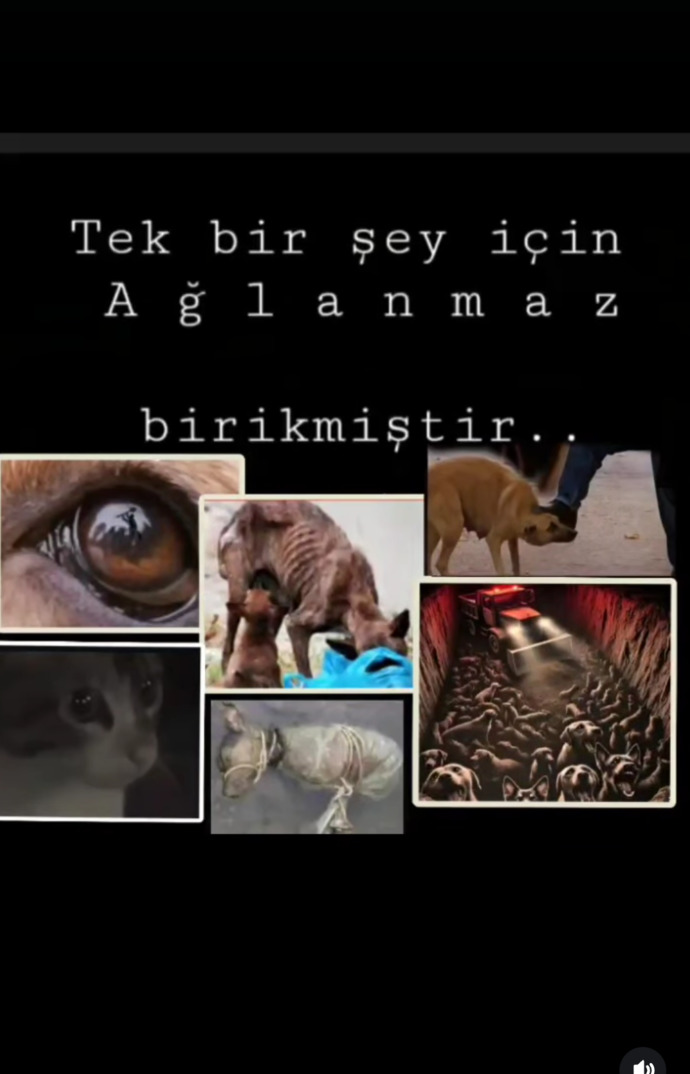 Ne güzel ülkemiz var değil mi?