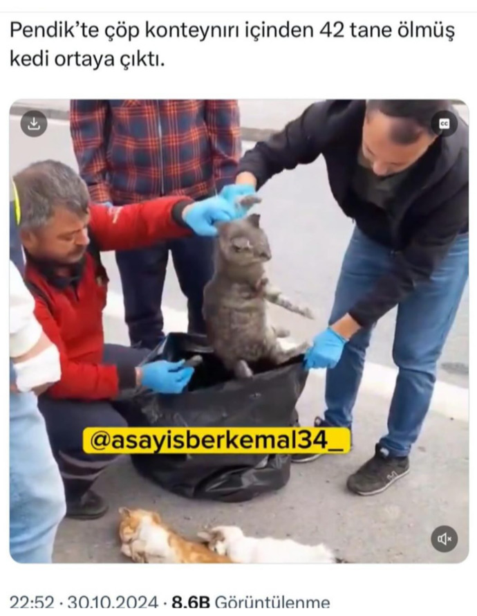 Ne güzel ülkemiz var değil mi?