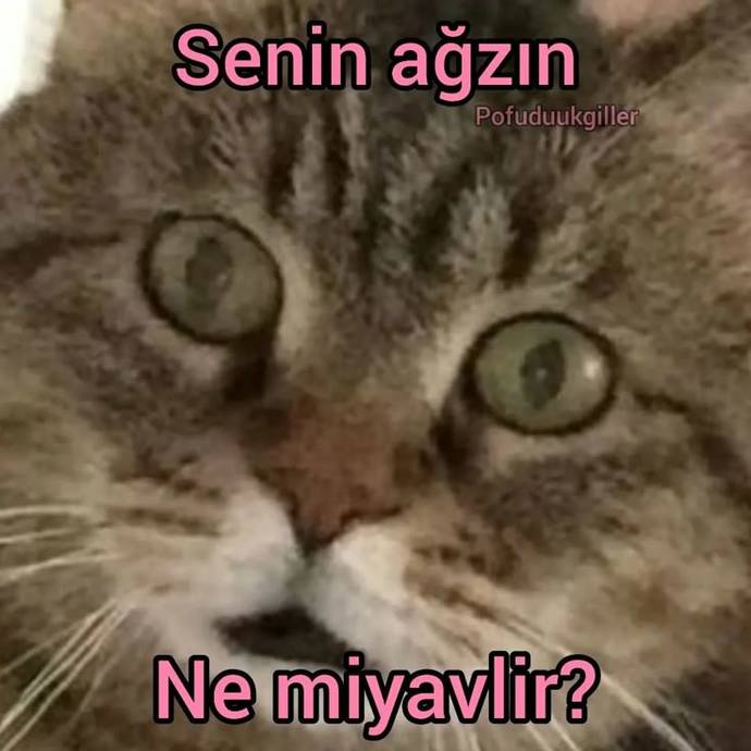 32yaş farkı olur mu?