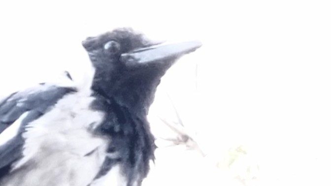 Galerinizdeki en acayip fotoğraf nedir?