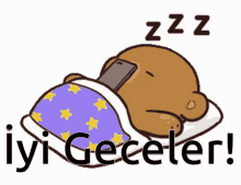 Hadi iyi geceler diyen oldu mu?
