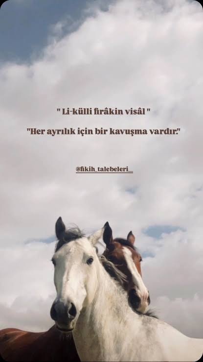 Sabırla beklediğiniz bir kavuşma var mı?