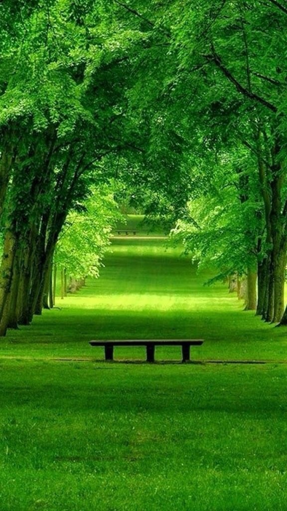 Hangi renk size huzur veriyor?