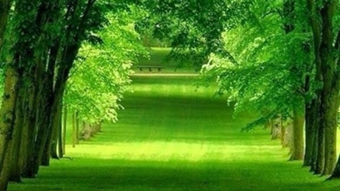 Hangi renk size huzur veriyor?
