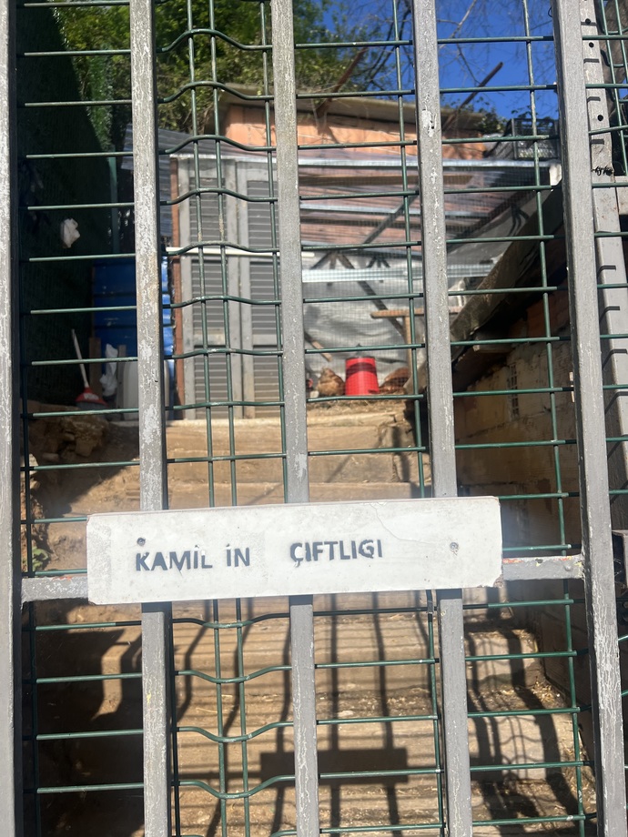 Hayvanları sever misiniz v3 (oldu sanırım) ?