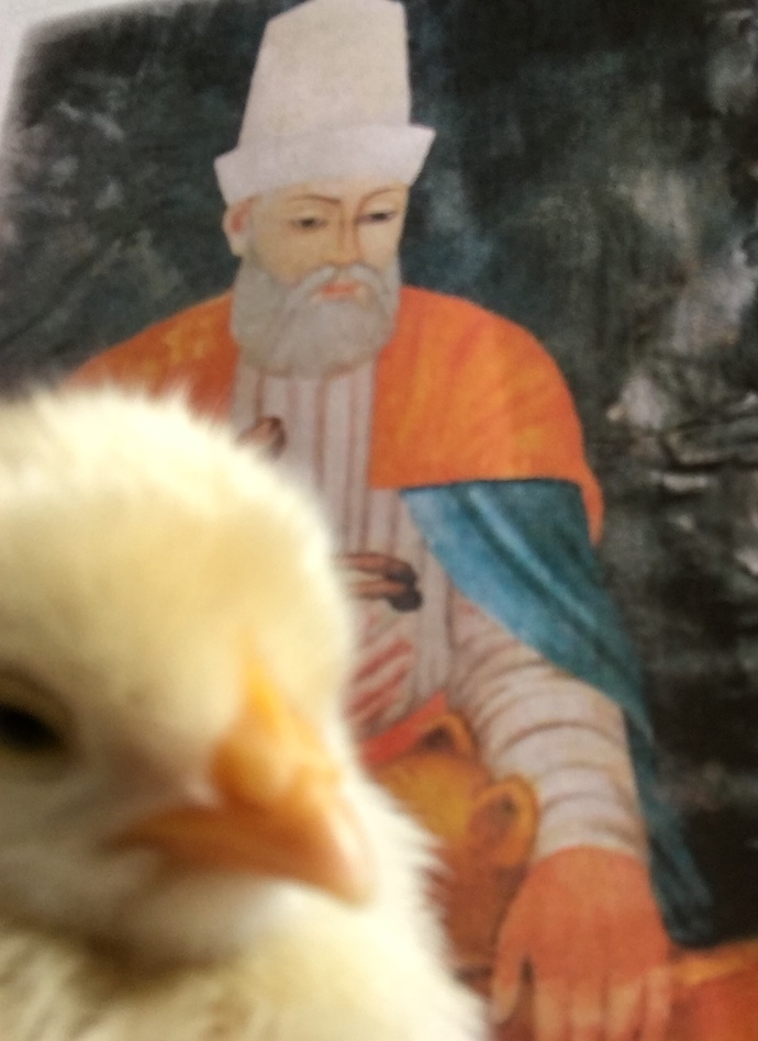 Hayvanları sever misiniz v3 (oldu sanırım) ?