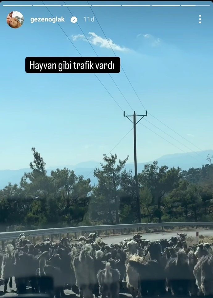 Sevgiliniz esprili mi olmalı yoksa ciddi mi?