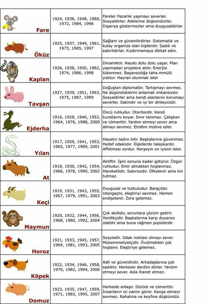 Sizin Çin burcunuz ne?