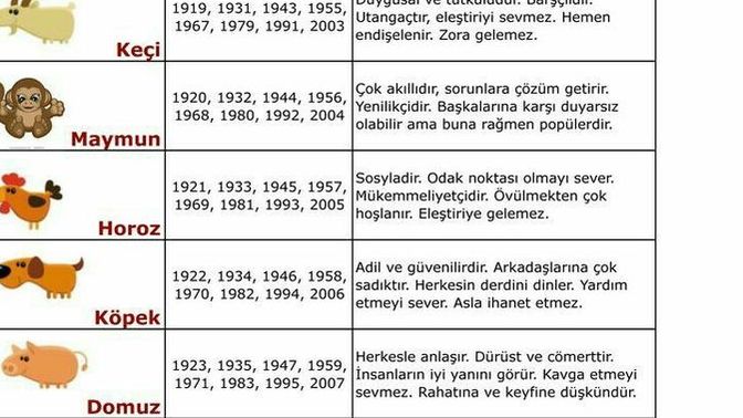 Sizin Çin burcunuz ne?