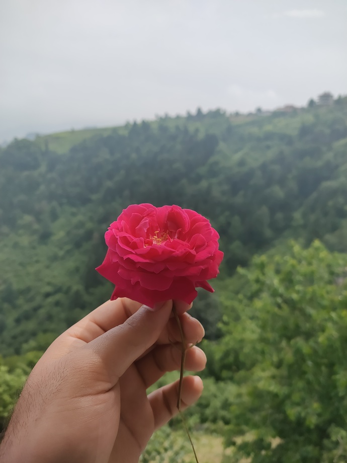 Ne zaman çiçek alacam ben kadın değil miyim?