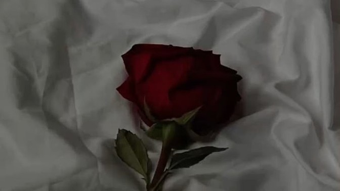 Siz yolu yalnız yürüdüğünüzü ne zaman anladınız?