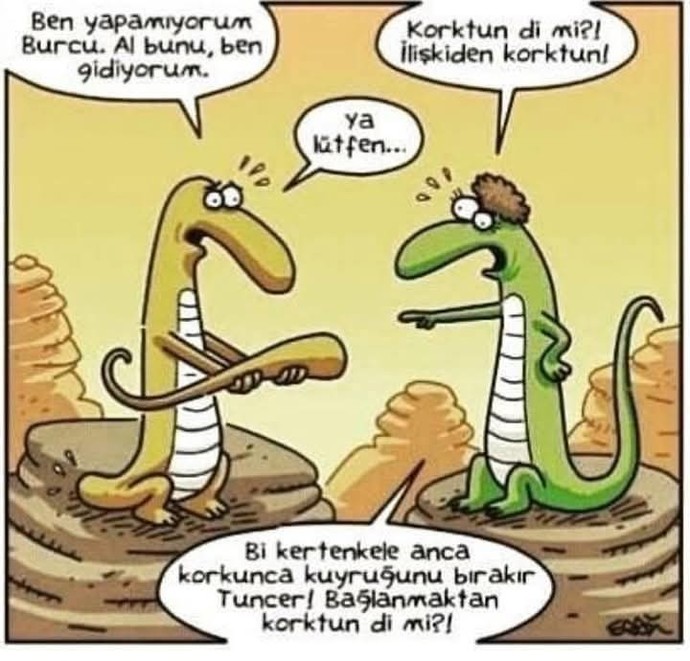 Sıkışınca pırrrr uçuyormusunuz? Yoksa her zorluğa göğüsmü geriyorsunuz?