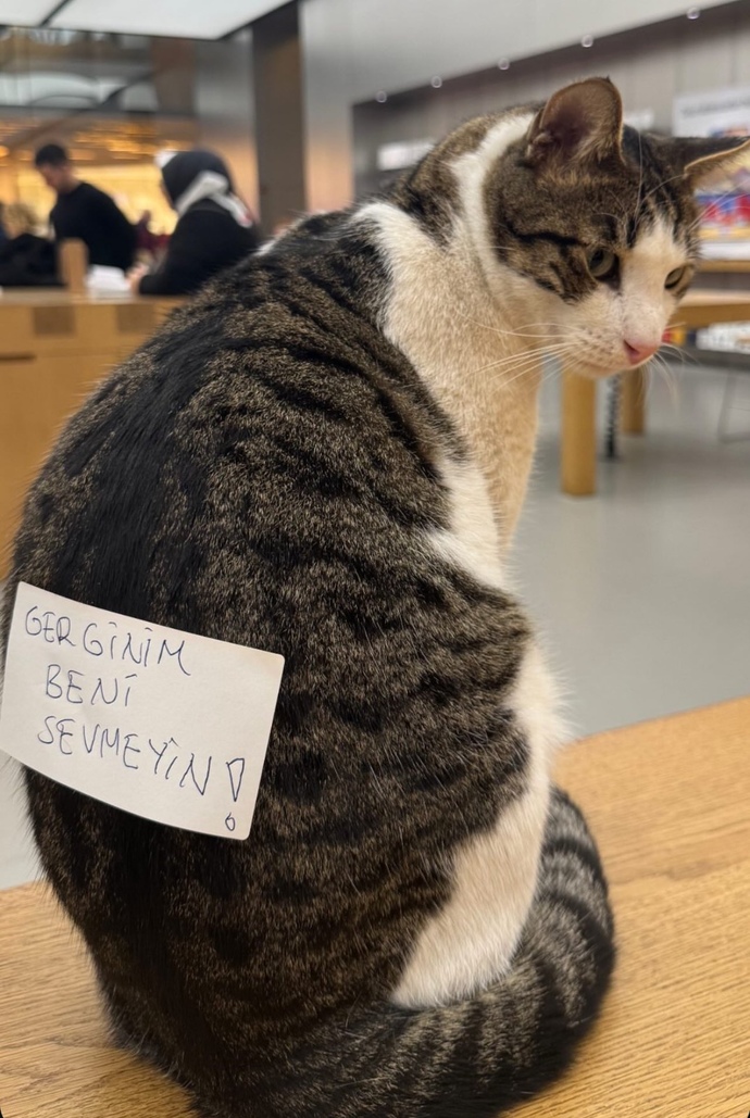 Sevgili adaylarınıza hangi mesajı vermek istersiniz?