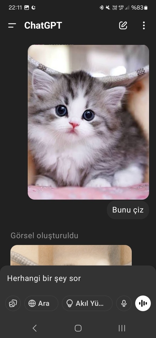 Chat GPT Uygulamasından kedi çizimi yaptım nasıl olmuş sizce?