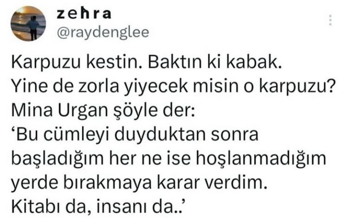 Başladığınız bir şeye hoşlanmadığınızda devam eder misiniz?