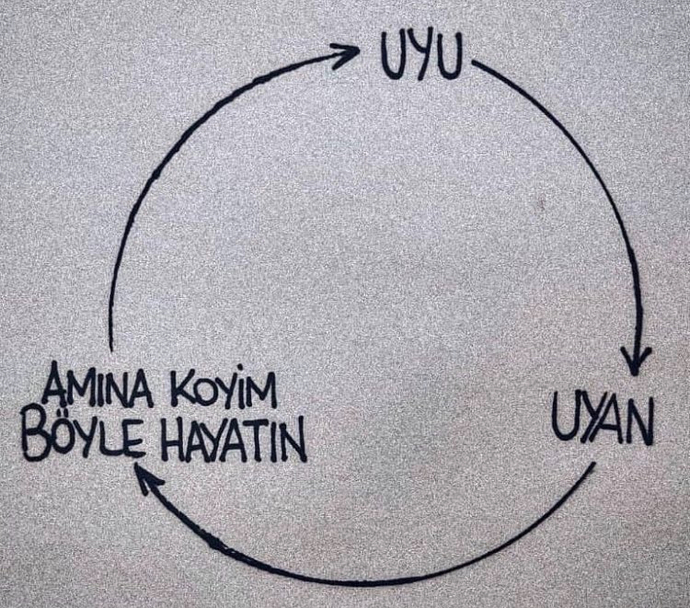 Doğdu mu güneşiniz🧚‍♀️?