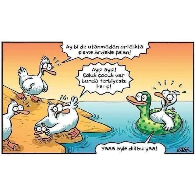 Günaydınlar efeniiimmm 👻👻👻neler yapıyorsun ?