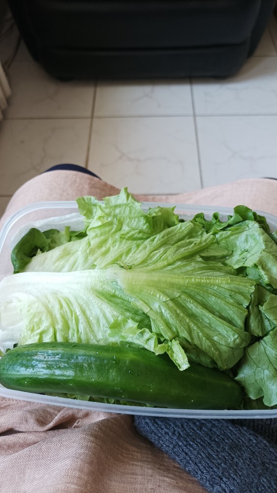 Öğle yemeğinde ne yiyeceksiniz?