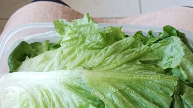 Öğle yemeğinde ne yiyeceksiniz?