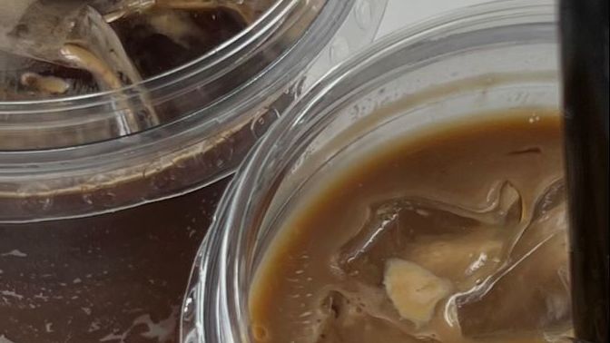Soğuk kahve sezonu açıldı mı?