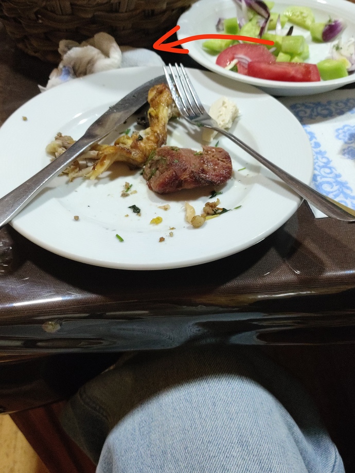 Kebabı kendi rızasıyla yiyen var mı Allah aşkına? ayıp olmasın diye aldım , ısırdığım kısmı peçetenin içine koydum fark edilir mi?