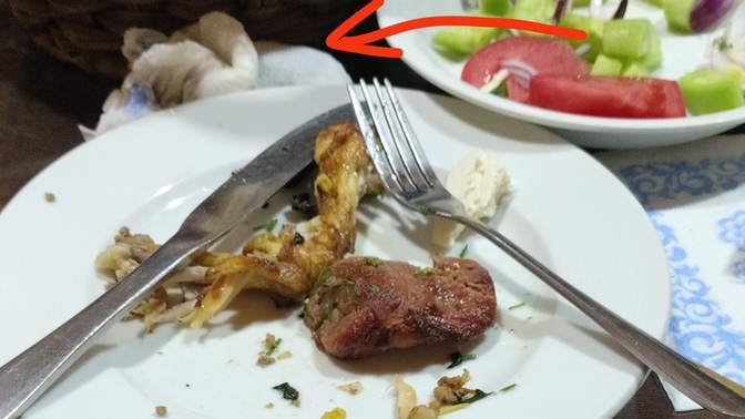 Kebabı kendi rızasıyla yiyen var mı Allah aşkına? ayıp olmasın diye aldım , ısırdığım kısmı peçetenin içine koydum fark edilir mi?