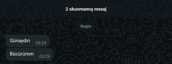 Aşk tadında günaydınlar , günaydın mesajları alındı mı 💖?