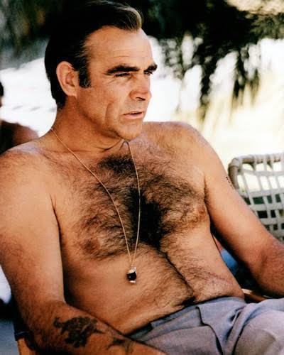 Bu adam tarzı ( Sean connery) orta yaşlı erkekler çok çekici değilmi? burada var mı?