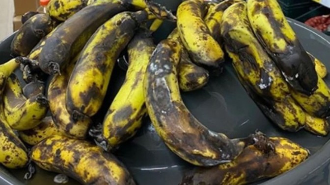 3 gün önce alınan muz neden 26 yıllık emekli gibi çürümeye başlıyor?