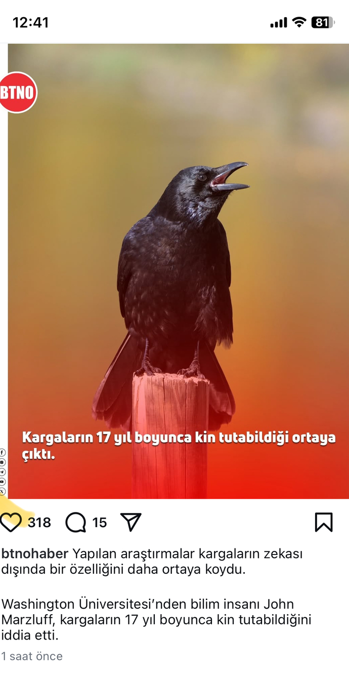 Kargalara sempatim arttı.. 😕