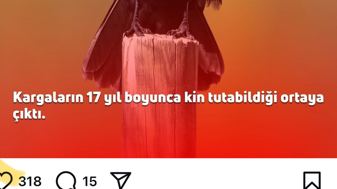 Kin tutabilmek zeka belirtisi olabilir mi?