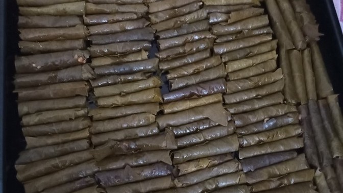 Yaprak sariyorum. Güzel olmuş mu?
