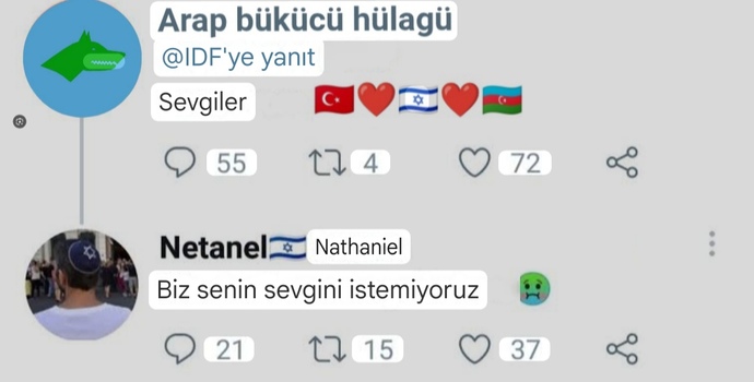 İslamcı Arapçı politikalar gereksizdir?