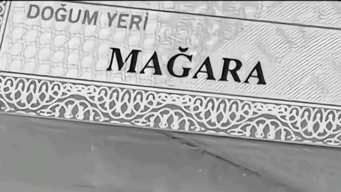 Nerde doğdunuz?