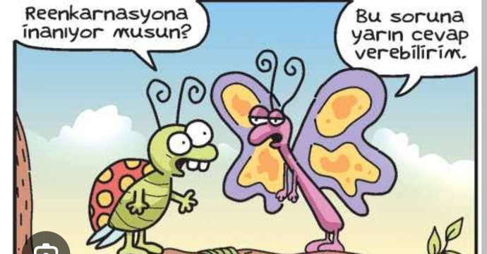 Reenkarnasyon olsaydı hangi hayvan olarak gelmek isterdin?