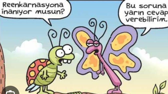 Reenkarnasyon olsaydı hangi hayvan olarak gelmek isterdin?
