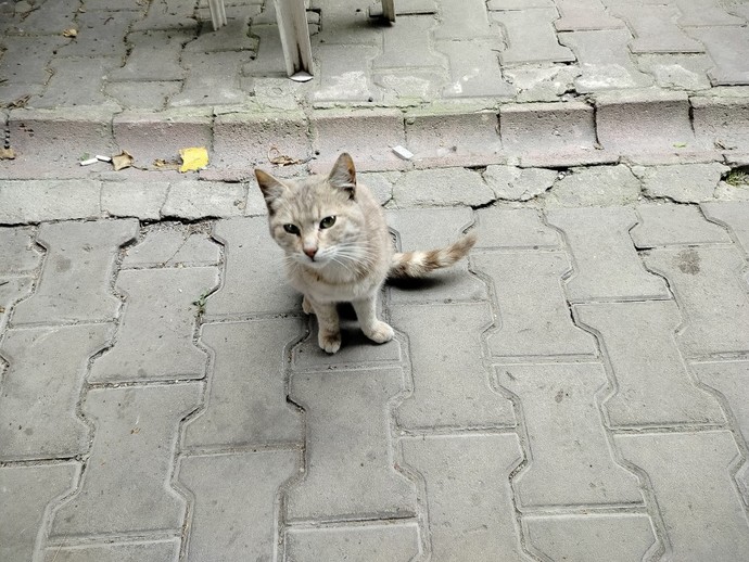 Sabah çayı nerede içilir?