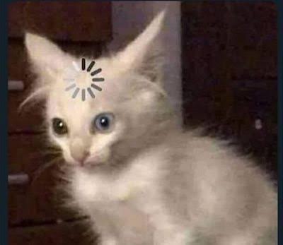 En tuhaf rüyanız neydi?