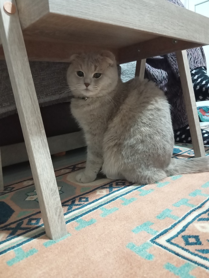 Böyle güzellik gördünüz mü hiç?
