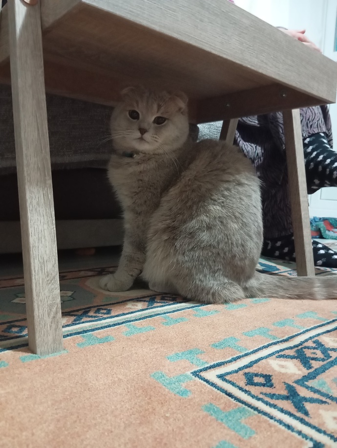 Böyle güzellik gördünüz mü hiç?
