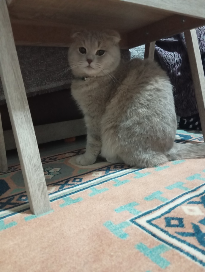 Böyle güzellik gördünüz mü hiç?
