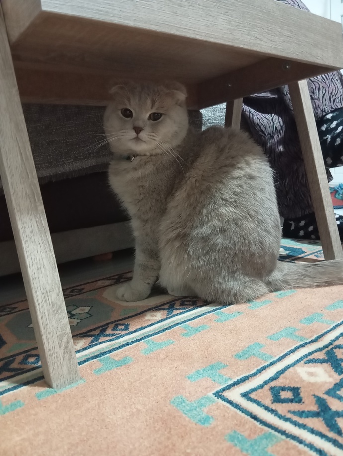 Böyle güzellik gördünüz mü hiç?