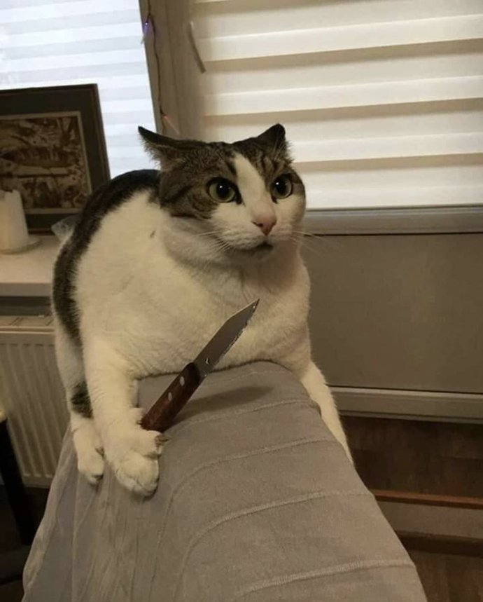 Birinden hangi sebeplerden dolayı soğursunuz?