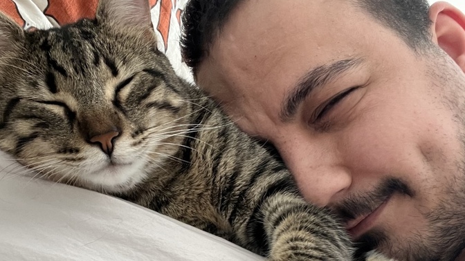 Kedimin doğum günü, yaş ödül maması aldım. Başka nasıl şımartabilirim 😂?