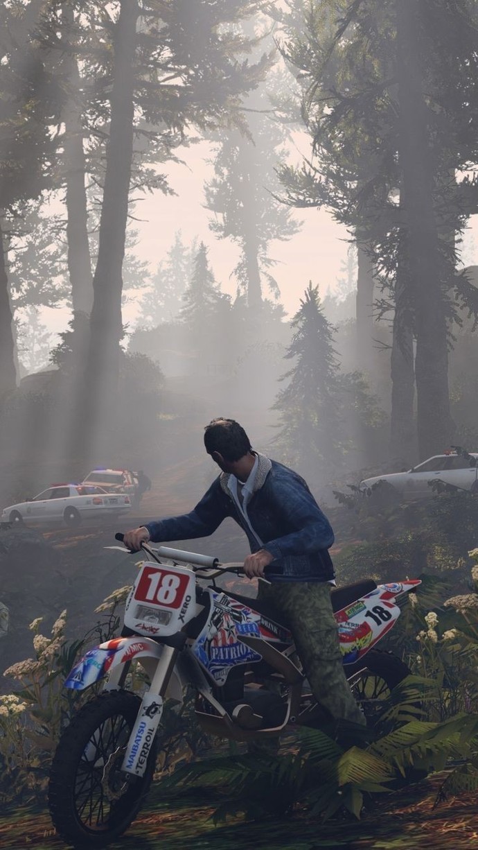 GTA oyununda polisleri peşinize takıp eğlenir miydiniz?