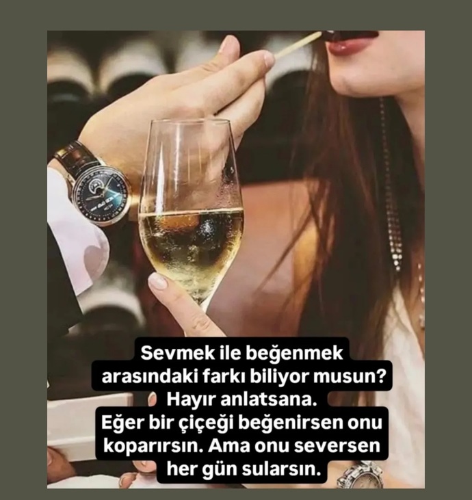 Sevmek ile begenmek arasındakifark nedir?