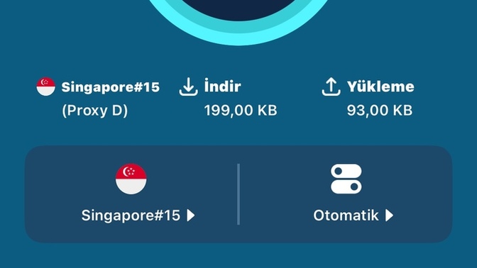 VPN kullanıyormusunuz?