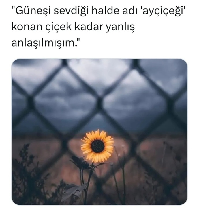 Benim mecalim kalmıyor ya bazen ne anlıyorsa karşı taraf öyle anlasın modu işliyor artık 😉😉